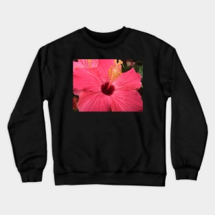 Atlanta, GA.  -- Spring Blooms I  ! Crewneck Sweatshirt